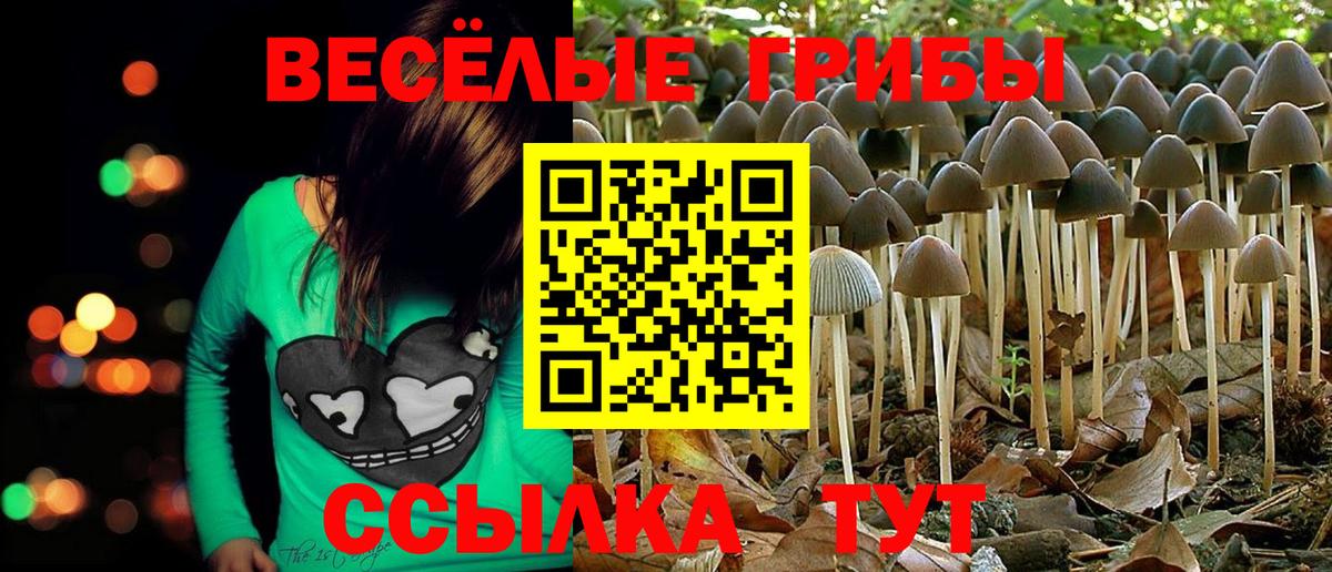 Галлюциногенные грибы мухоморы  Псилоцибиновые грибы GOLDEN TEACHER  Истра  Вход с VPN 