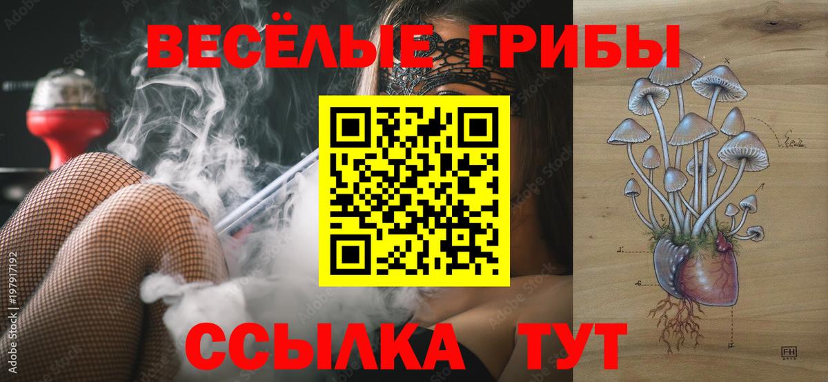 Галлюциногенные грибы Magic Shrooms Истра